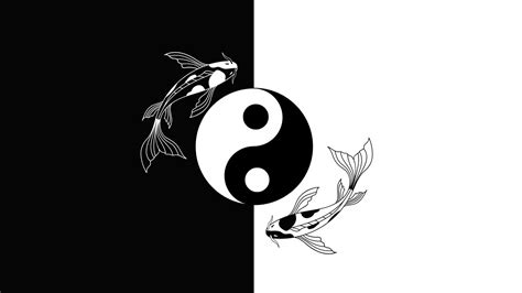 [100+] Yin Yang Fish Wallpapers | Wallpapers.com