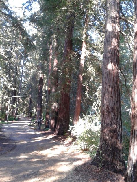 UC Davis Arboretum | California, Davis, Arboretum