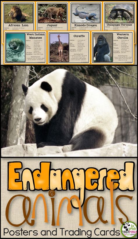 Animal Facts For Kids Endangered Animals - Image to u