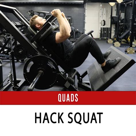 Hack Squat - N1 Training