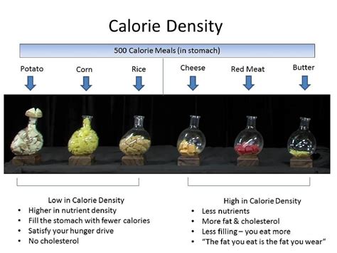 What is Calorie Density? - Plant-Based Nutrition Lifestyle