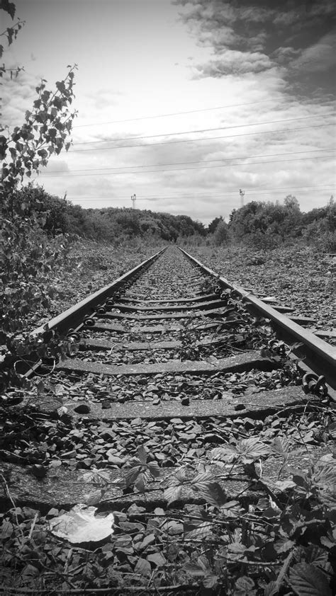 Abandoned railroad track : r/pics