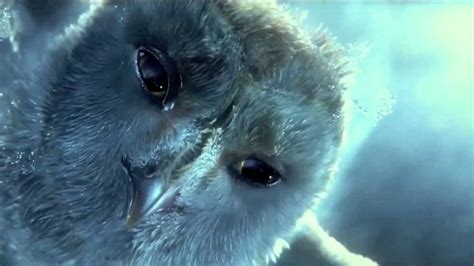 Hedwig's death (funny version) - YouTube