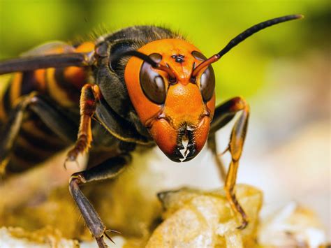 Photo of the day - National Geographic Channel - Canada