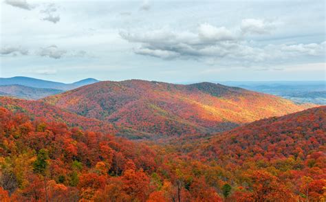 Peak Foliage Skyline Drive - Discover Front Royal