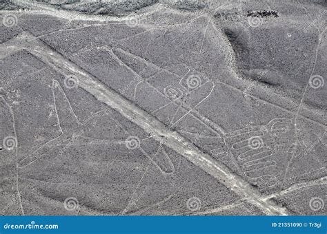 Nazca Lines - Whale - Aerial View Stock Photo - Image: 21351090