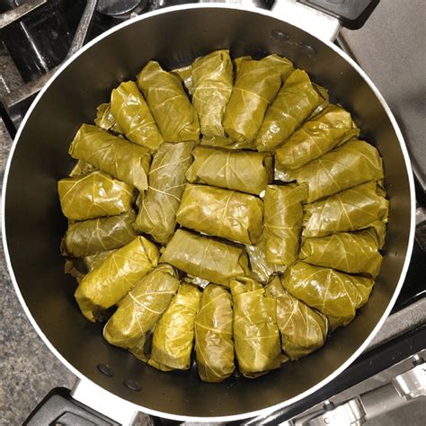 Lebanese Stuffed Grape Leaves – Old Guy In The Kitchen