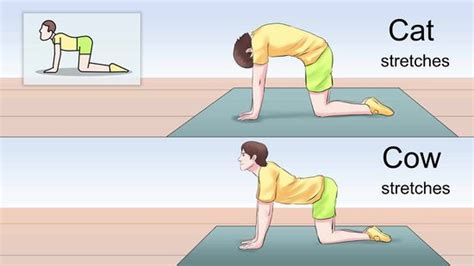 3 Ways To Stretch Your Abs Abdominal Muscles Wikihow