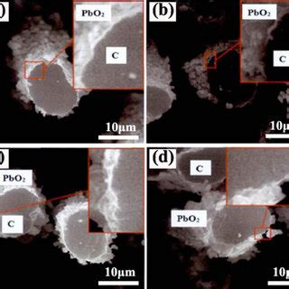 Interface structure of the electrodes: (a) CP80; (b) CP100; (c) CP120 ...