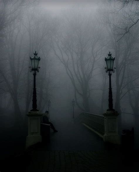 gothic forest - Bing Images | Dark photography, Mists, Dark places