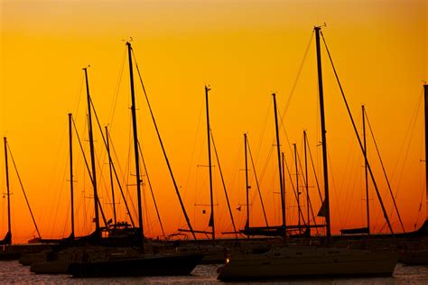 Sailboats At Sunrise Free Stock Photo - Public Domain Pictures