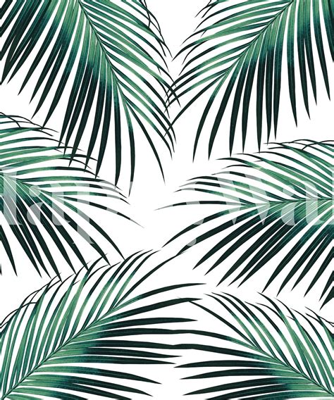 Green Palm Leaves Dream 3 Wallpaper | Happywall