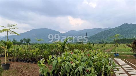 Araku Valley Eco Resorts Visakhapatnam, Araku Road Resale Price List, Brochure, Floor Plan ...