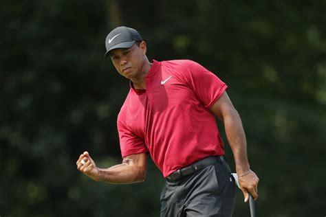 Tiger Woods Wins PGA Tour Championship | Complex