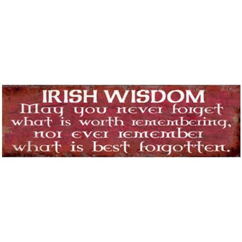 SPECIAL...IRISH WISDOM PLAQUE 40x14cm | From WJ Sampson