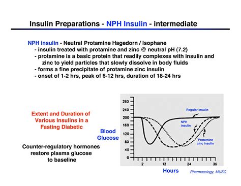 NPH - Canine Diabetes Wiki