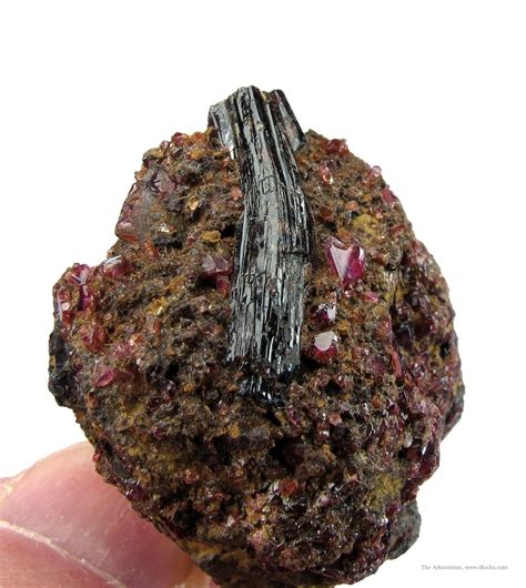 Superb Painite and Ruby, Burma | iRocks Fine Minerals