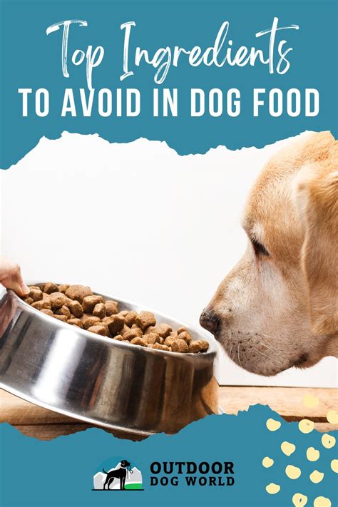 Top Ingredients To Avoid In Dog Food - Outdoor Dog World