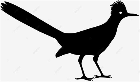 Roadrunner Silhouette PNG Transparent, Roadrunner Black And White Sign, Clipart, Typography ...