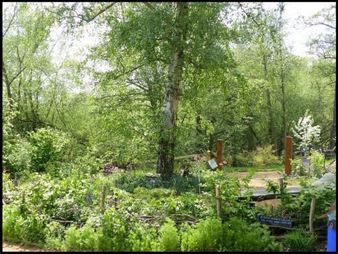 Wild and Wonderful: Nature Reserves: RSPB Wildlife Garden, Flatford Mill (Constable Country)