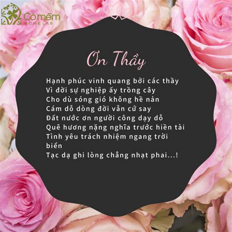 25+ Bài thơ 20/11 ngắn tri ân thầy cô, viết báo tường #Số1 - Cỏ Mềm - Wonderkids Education