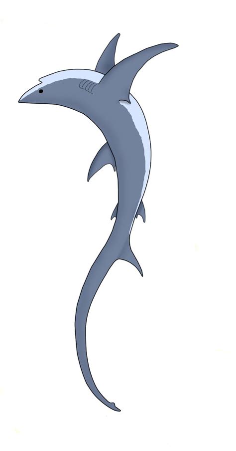 Thresher Shark Design by Cerulean-Serpent | Shark drawing, Shark art, Shark drawings