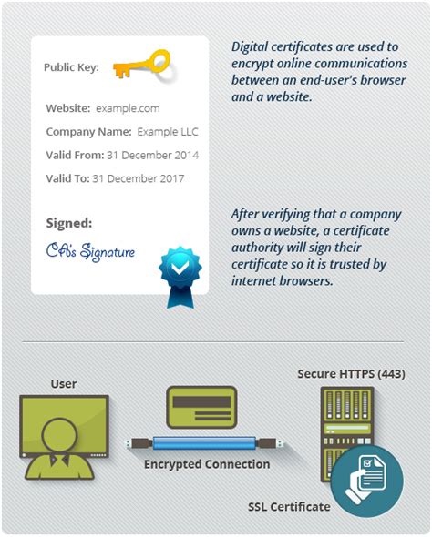 Comodo Digital Certificate | TUTORE.ORG - Master of Documents