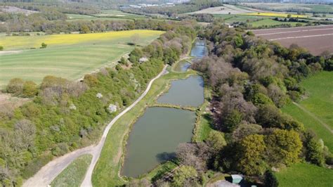 Barlow Trout and Coarse Fishery (Barlow , Derbyshire) Fishing Lake - Day Ticket Lakes