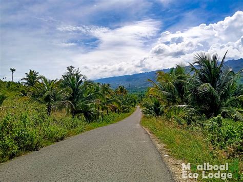 Things to Do in Moalboal, Cebu, Philippines