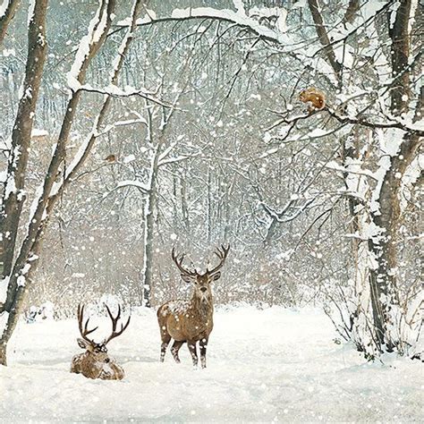 ?BugArt Christmas Landscapes Deer Woods. CHRISTMAS LANDSCAPES Designed by Jane | Merry Christmas ...