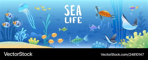 Sea life Royalty Free Vector Image - VectorStock