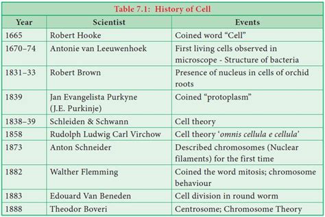 History of a Cell