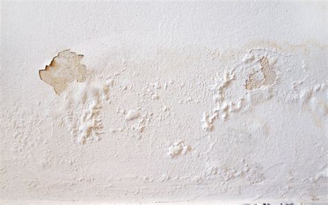 paint bubbling on wall near window - Voluminous Weblogs Photography