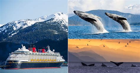 Alaska Cruise Offers | Alaska Cruises from Seattle | NCL Alaska Cruises | Inside Passage Alaska ...