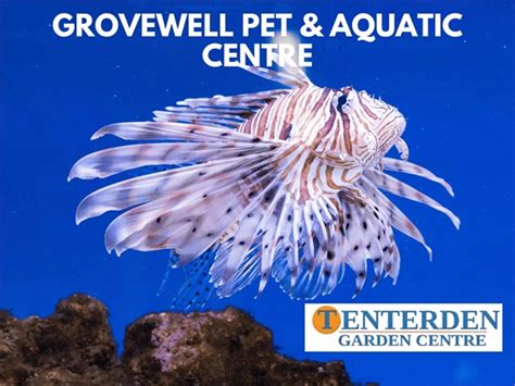 Grovewell Pet & Aquatic Centre | Tenterden Garden Centre - Tenterden, Kent