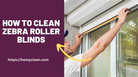 How To Clean Zebra Blinds (5 Easy Hacks) 2024