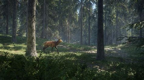 Hunting Simulator Review – Gamecritics.com