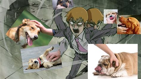 🌸 Azu ʕ·ᴥ·ʔ 🌸 @ Japan on Twitter: "The dog petting meme made me think of Reigen and then I made ...