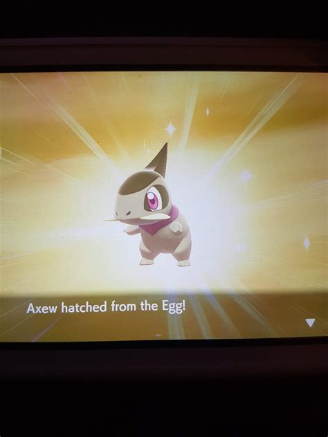 Shiny Axew at 30eggs 🤘🏻 | Pokémon Amino