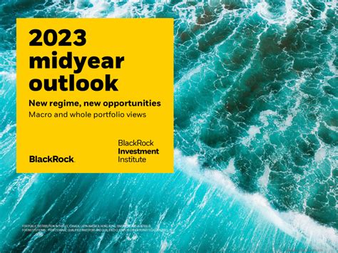 Blackrock 2023 Mid-Year Outlook - Finom Group