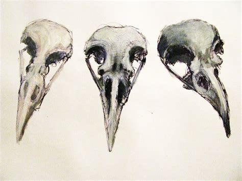 Raven Skull Drawing at GetDrawings | Free download