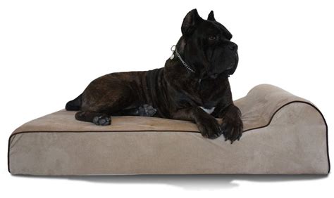 Bully Beds Review 2022: The Best Bed For Large Dogs? Heavy Chewers? - Canine Bible