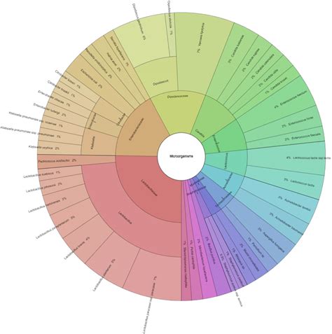 Diversity of microbiota in Slovak summer ewes’ cheese “Bryndza”