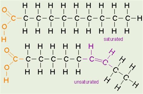 Organic Molecules Lab101