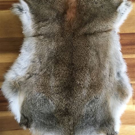 1x WILD MEADOW Rabbit Skin Fur Pelt Tanned for animal