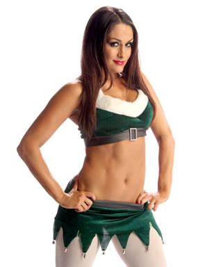 Nikki Bella - WWE Divas Photo (27759120) - Fanpop