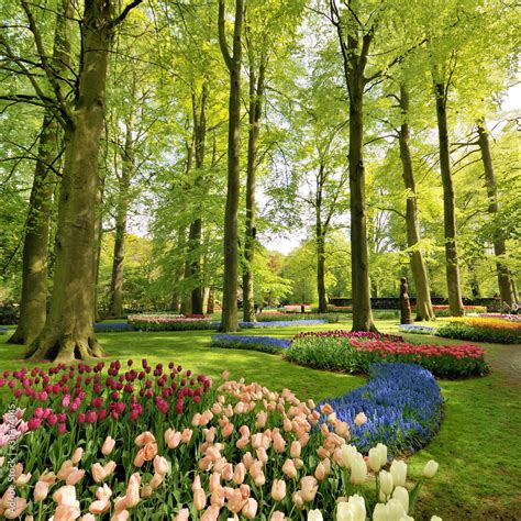 Keukenhof park Stock Photo | Adobe Stock