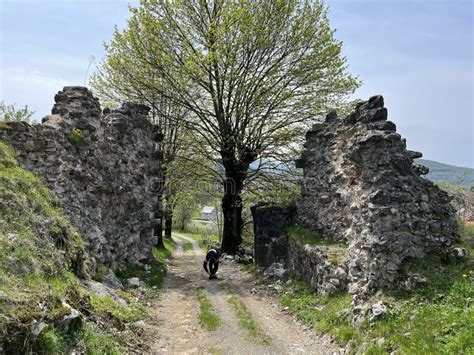 Sokolac Castle, Old Town of Brinje or Medieval Noble Town of Sokolac Oder Die Adelsburg Sokolac ...