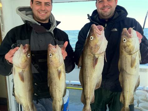 Atlantic Cod | Fishing Charter Boat | Sheepshead Bay Brooklyn NY