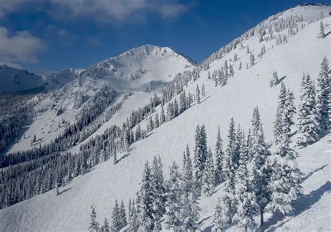 Crystal Mountain Ski Resort WA Reviews